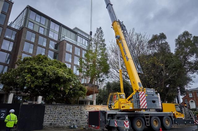 Under Construction: How Construction Inspection Software Is Powering Global Real Estate & Infrastructure